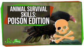 Animal Survival Skills: Poison Edition