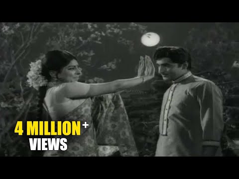 Kalam Marindi Movie (1972) | Mundharunna Chinnadani Andhamedo Video Song | Sobhan Babu, Sarada
