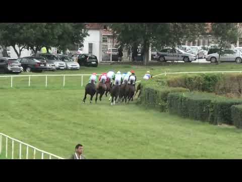 Ljubicevske konjicke igre 2023 KUP LJUBICEVA