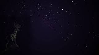 Mount Eerie - Distortion