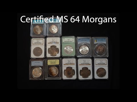 Certified MS64 Graded Morgan Dollar Coin Collection NGC PCGS ICG