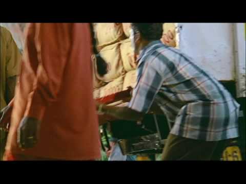 typhoo prawdziwa angielska herbata