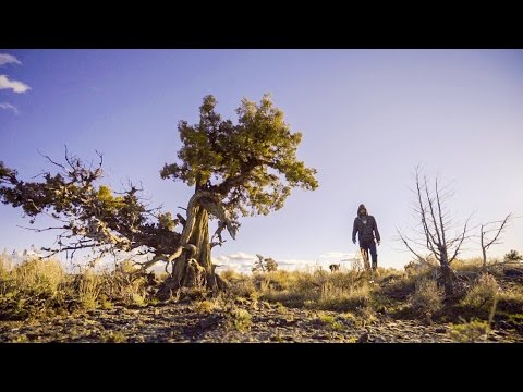 Camping in the Lava Fields - Pushing North 46