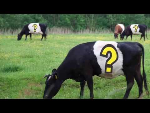 Het vraagteken van Leusden