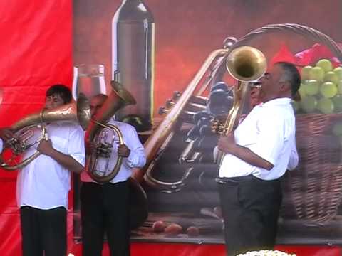 Fanfara de la Stejaru