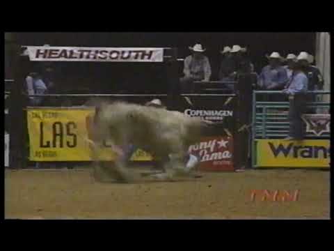 Promise Land bucks Ricky Barnes - 98 PBR Charlotte