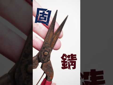 ラズベリーの錆びを処理するにはどうすればよいですか？すべての庭師へのアドバイスと予防  庭園