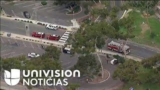 Una van que transportaba niños de entre 9 a 12 años se estrelló contra un árbol
