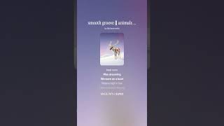 smooth groove ♾️ animals ♾️ freeing move