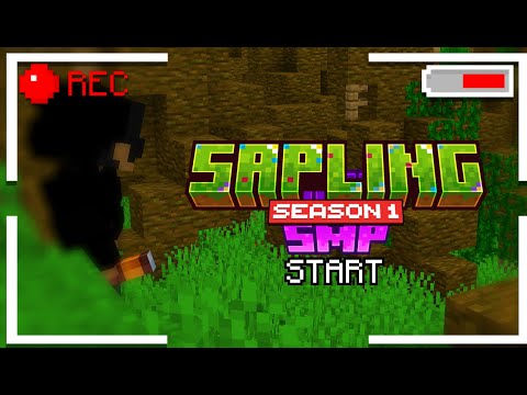 Sapling Livestream: Ray Traces in the Wild