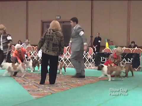 BCA 2009 Annette Hoskins II