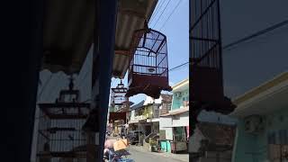 Download lagu Prenjak / cikrak mahkota mp3