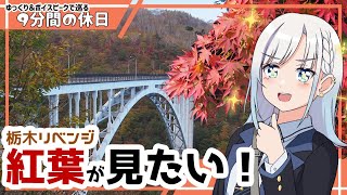 【ゆっくり＆ボイピ車載】栃木紅葉リベンジ～後編＜9分間の休日＞