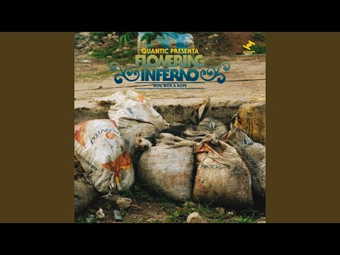 Video thumbnail for Te Picó El Yaibí (Version)