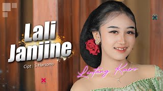 Download lagu Lintang Kairo - Lali Janjine | Dino minggu seng tak tunggu mp3