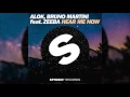 ALOK, BRUNO MARTINI feat. ZEEBA - Hear Me Now (Original Radio Edit) HQ