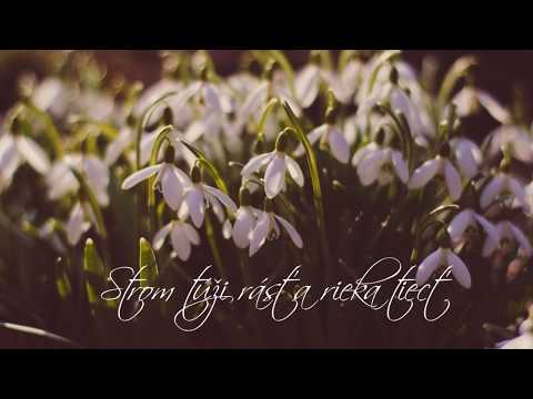 LÁSKA NECH SÚDI NÁS | Love Song - Pavel Habera |