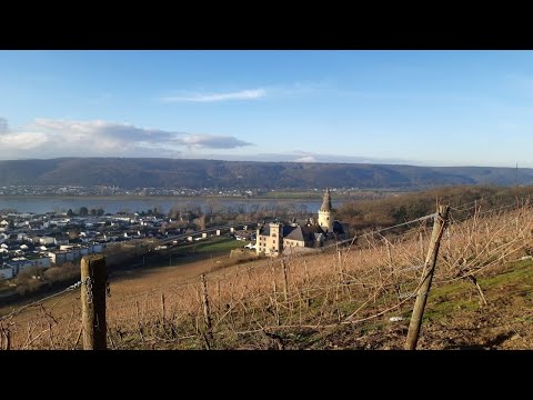 Rheinsteig   Von Leubsdorf nach Leutesdorf