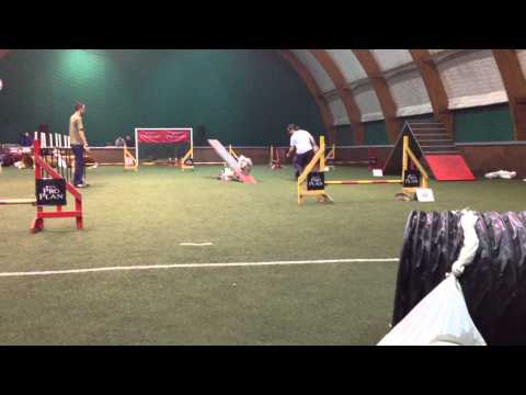 Davor i Elky - 4. kolo DP Srbije 2013 - 2. trka