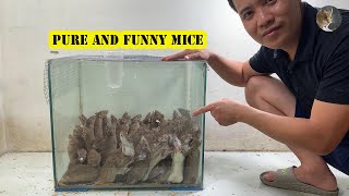 Miniature vidéo