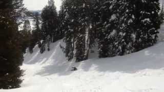 Elvis Costello-My Mood Swings