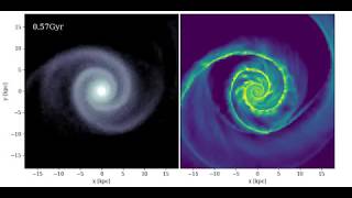 [FlatS10] Strong galaxy interaction simulation: flat rotation curve