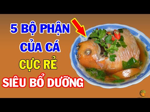 , title : '5 Bộ Phận Từ CÁ "CỰC BỔ", Người Việt Đang Bỏ Phí Thần Dược Trời Cho Mà Không Biết'