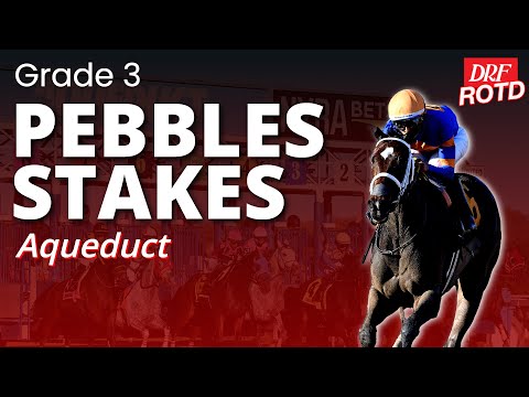 DRF Sunday Race of the Day | G3 Pebbles Stakes | November 16, 2025