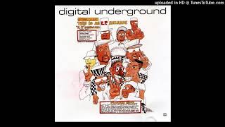 Digital Underground - Same Song