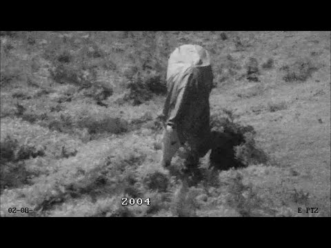 KAMEROS LAIKIKLIS DS-1605ZJ Hikvision video
