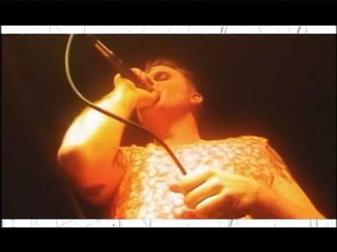 Dog Fashion Disco - Love Song For A Witch (Official Music Video)