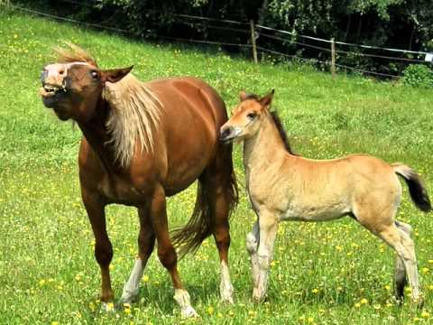 Jakub Smolík, Šárka Tomanová - Muž se srdcem kovboje