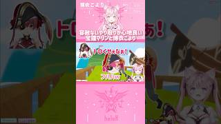 容赦ないやり取りが心地良い宝鐘マリンと博衣こより　#shorts 【切り抜き/ホロライブ】