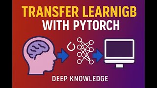Transfer Learning in PyTorch Explained Step by Step 🚀  Beginner to Pro