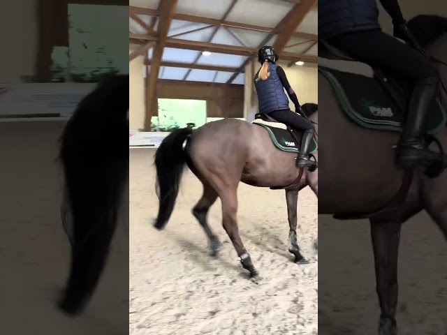 Jument 10 ans Amateur &Eacute;lite 130 