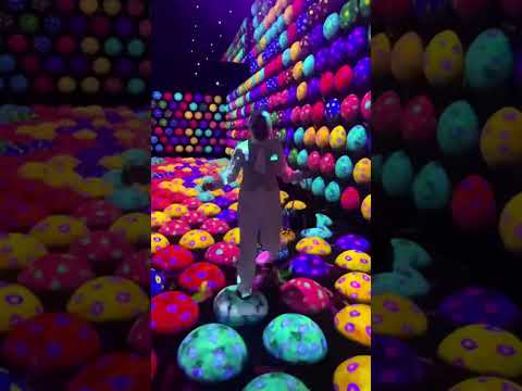 Team lab borderless Jeddah