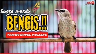 Download lagu PANCINGAN TRUCUKAN GACOR ROPEL PANJANG‼️AMPUH UNTUK MASTERAN TRUCUKAN BAHAN & MACET  NYAUT GACOR mp3