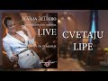 Sladja Allegro - Cvetaju lipe - (Official Live Video 2017) Sladja Allegro - Cvetaju lipe - (Official Live Video 2017)