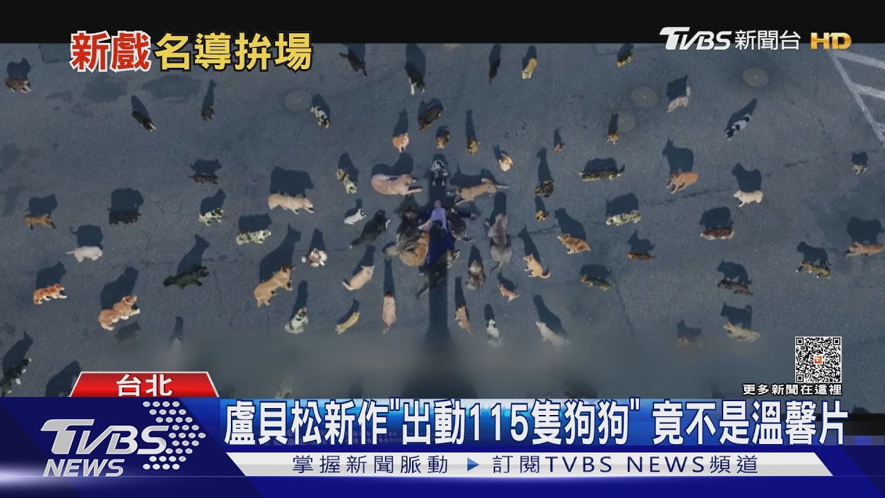 名導拚場! 盧貝松新片「出動115隻狗狗」凱文哈特搶150億黃金