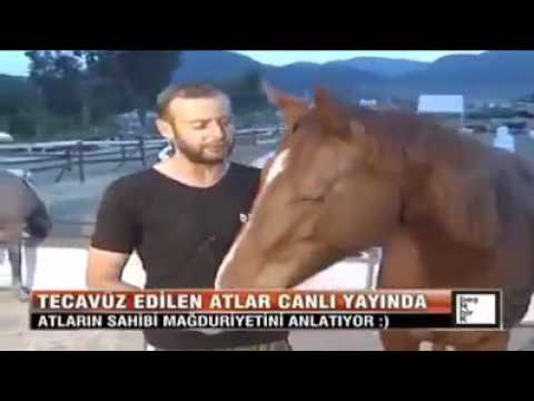 Tecavüz Edilen At ve Mağdur At