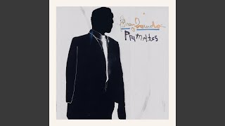 Greyhounds - Primates video