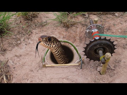 EASY SNAKE TRAP_ Installing Unique Quick Snake Trapping Using Bike Crank Work 100%.