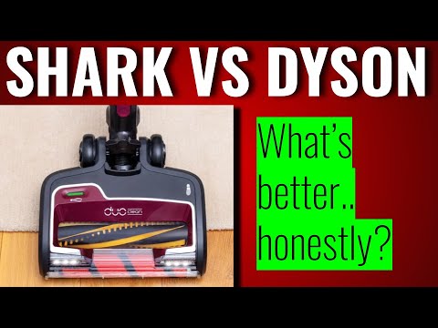 image-What is the shark true pet?