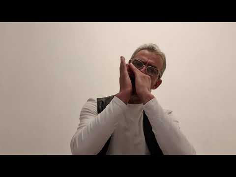 Hora muzicuțelor , la muzicuță cu patruzeci de găuri - Nelu Petrescu