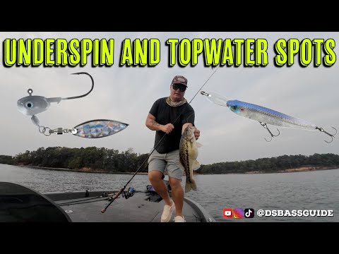 Lake Lanier Moving Baits for Spotted Bass (Spot Choker Underspin, Topwater) | Fall Transition