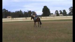 Pleasure riding - CASH