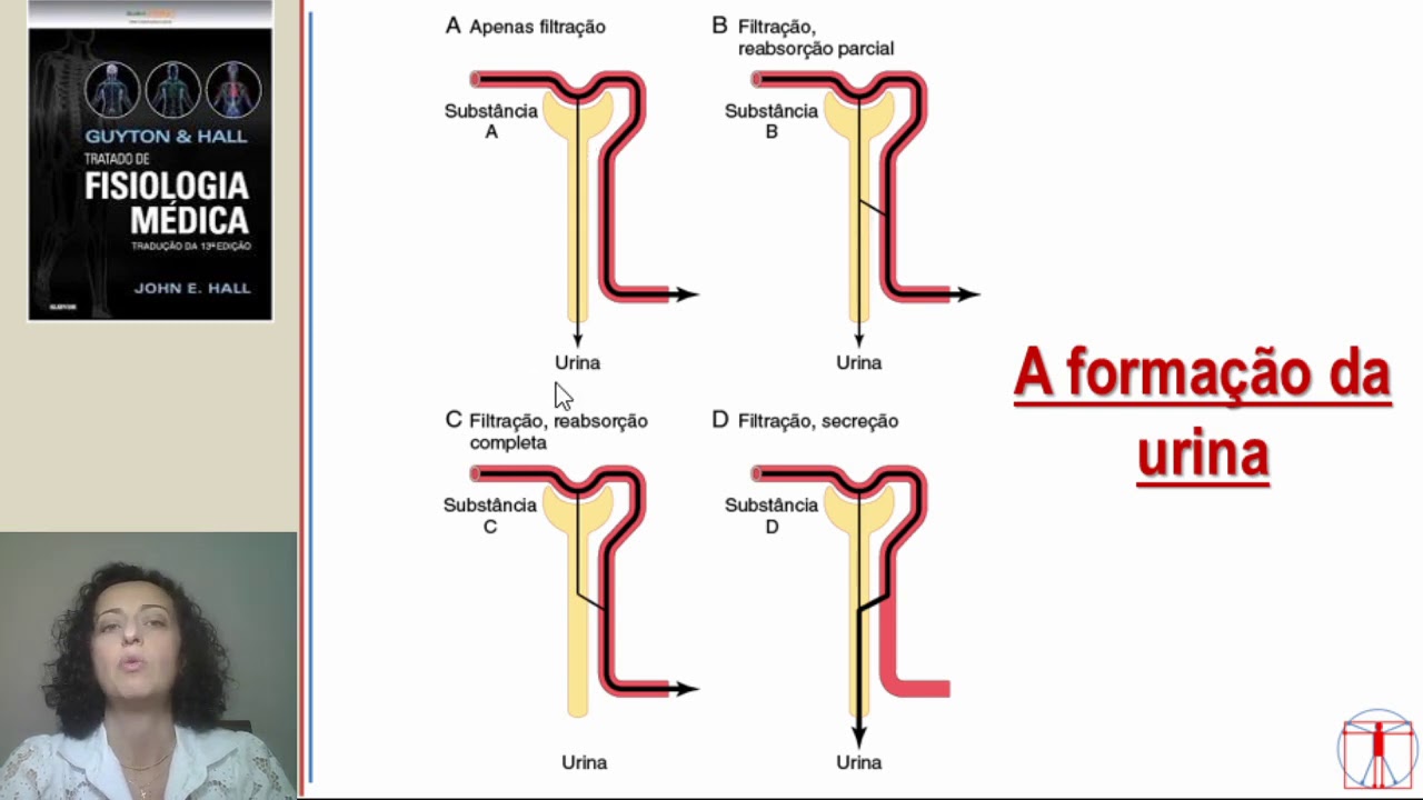 Fisiologia Renal (FSR, TFG e seu controle)