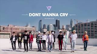 SEVENTEEN(세븐틴) - 울고 싶지 않아 (Don&#39;t Wanna Cry)[1 HOUR]