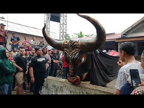 Bantengan ngamuk super besar || Putro maheso syuro live gendong diwek