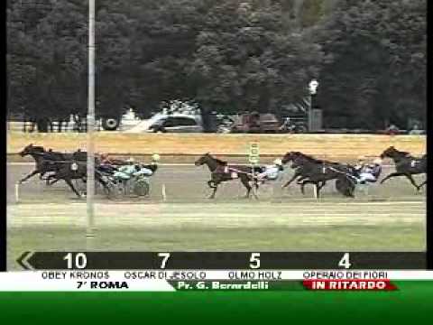 Premio Guido Berardelli 2011 -On The Way Grif